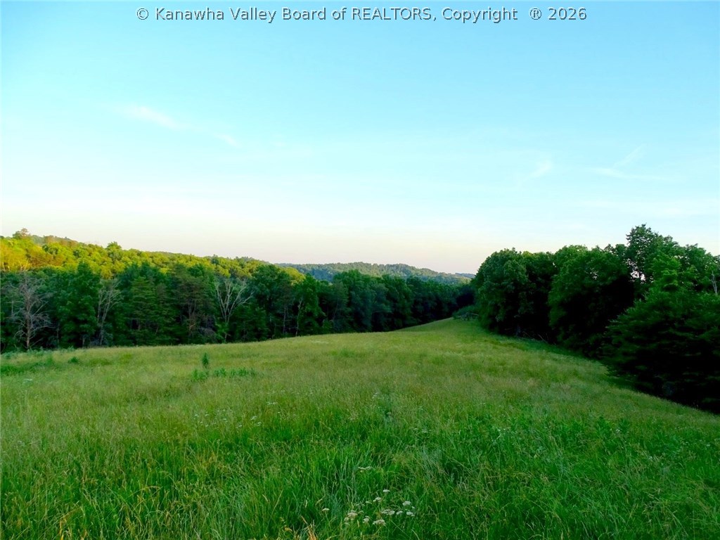 1007 Riffee Ridge Given, WV 25245 - Photo 11 of 30 Gallery Image 11