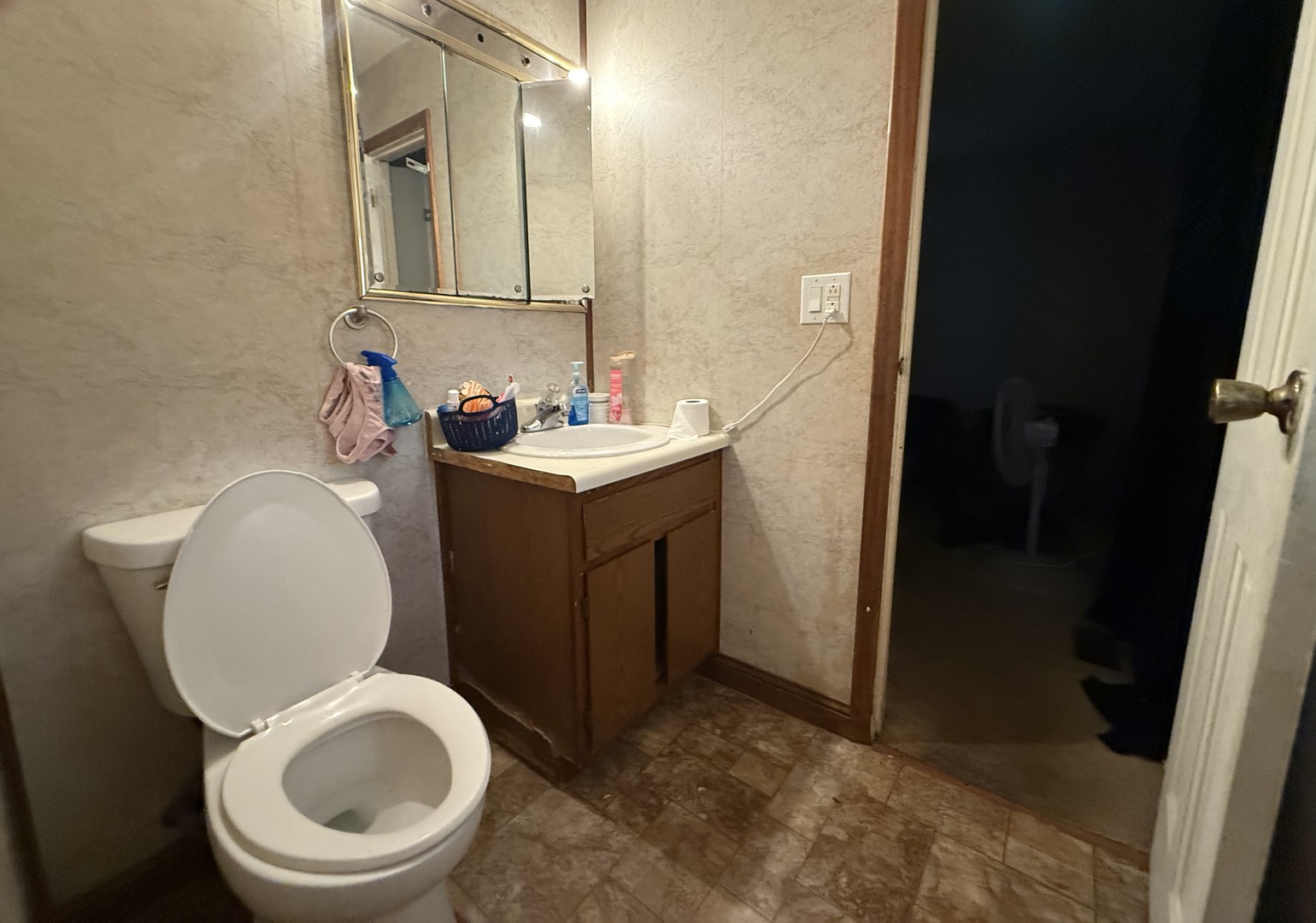 1021 Briarcliff Drive Rantoul, IL 61866 - Photo 13 of 33 a bathroom with a toilet a sink and mirror