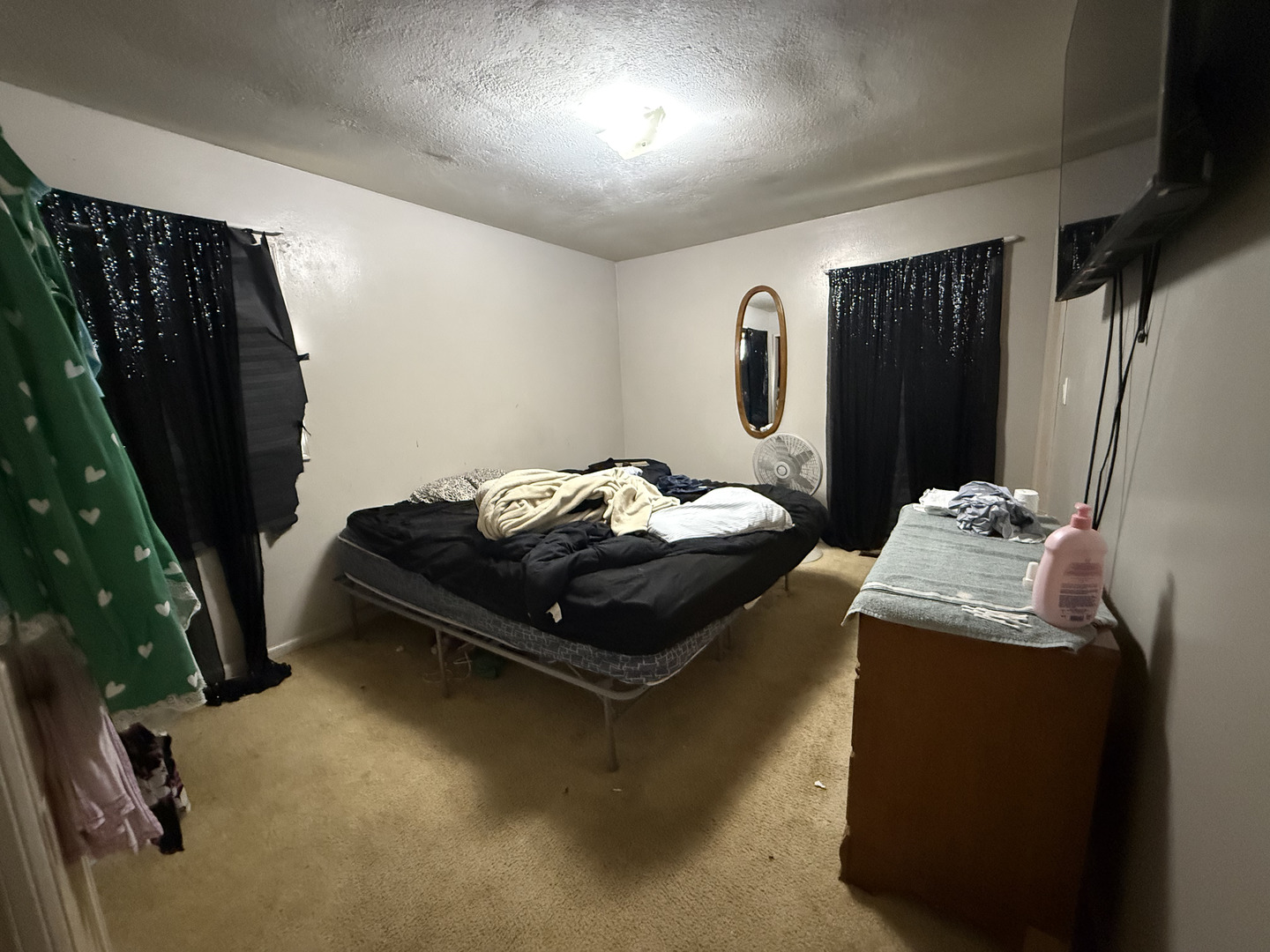1021 Briarcliff Drive Rantoul, IL 61866 - Photo 17 of 33 a bedroom with furniture and a potted plant
