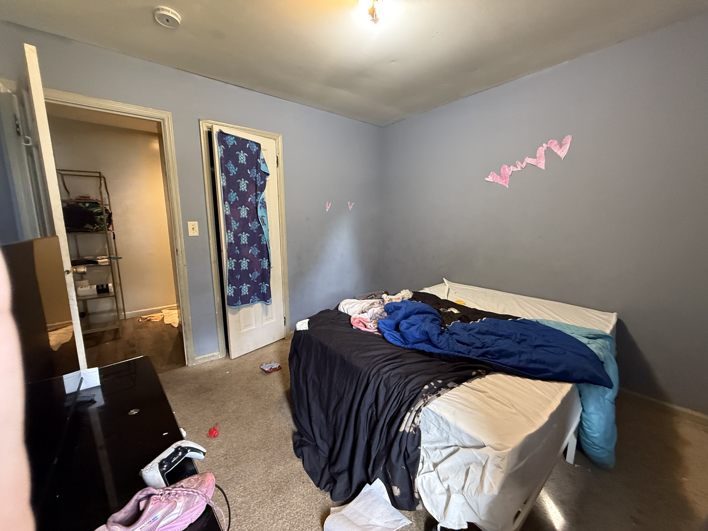 1021 Briarcliff Drive Rantoul, IL 61866 - Photo 19 of 33 a bedroom with a bed and a mirror