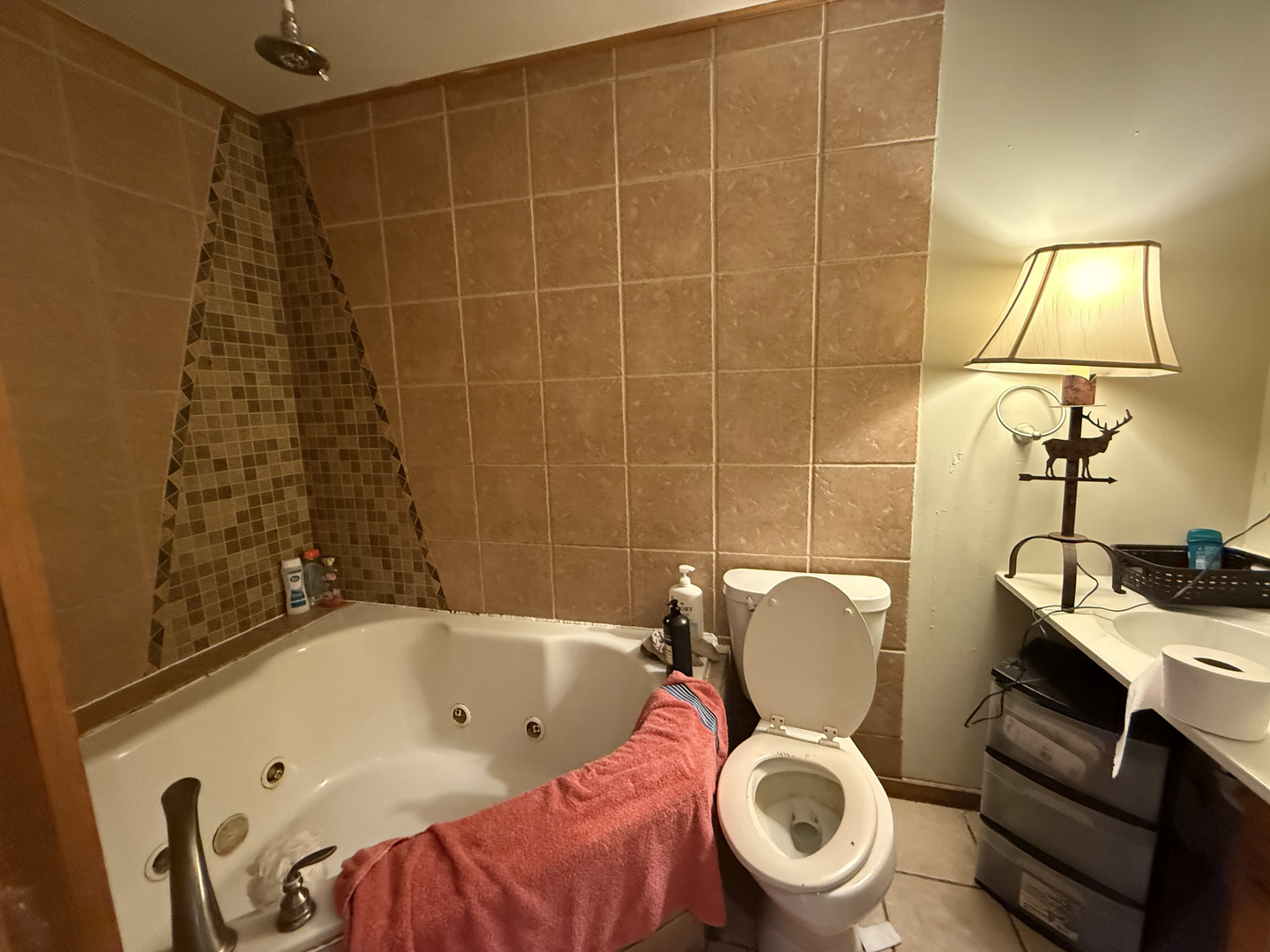 1021 Briarcliff Drive Rantoul, IL 61866 - Photo 23 of 33 a bathroom with a sink a toilet and a shower