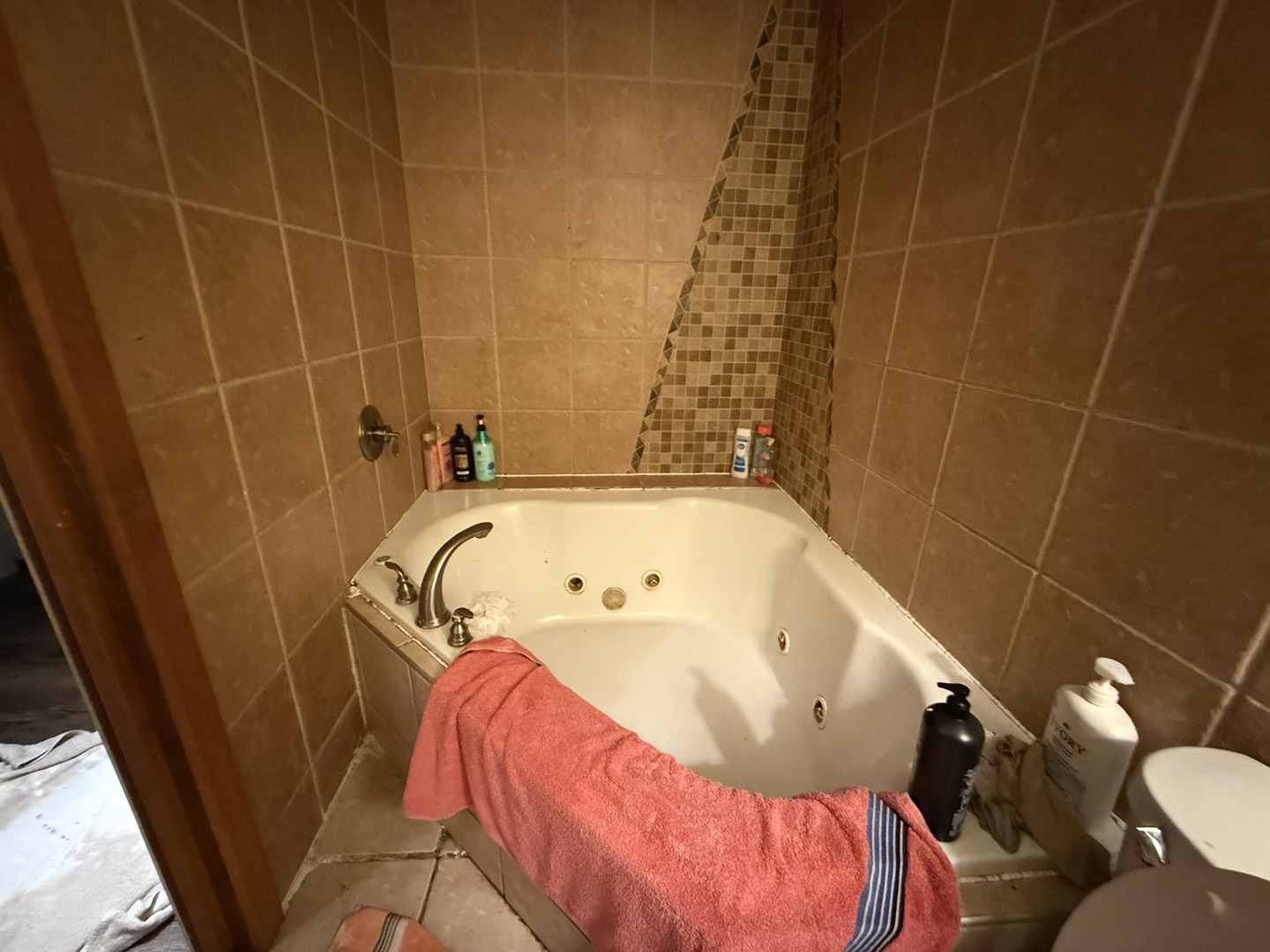 1021 Briarcliff Drive Rantoul, IL 61866 - Photo 24 of 33 a bathroom with a bathtub and shower