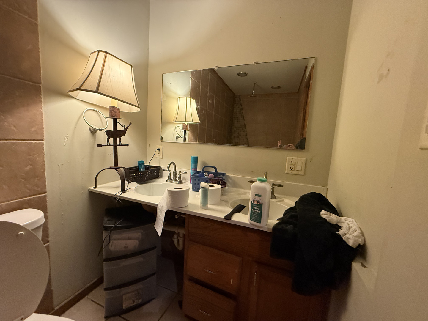 1021 Briarcliff Drive Rantoul, IL 61866 - Photo 25 of 33 a bathroom with a sink and mirror