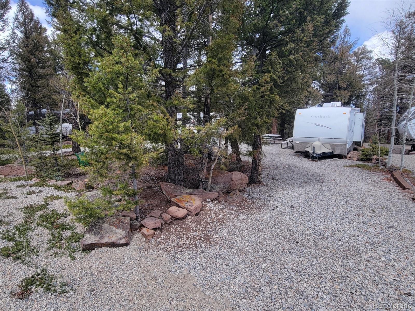 94 Pullman Loop Fairplay, CO 80440 - Photo 21 of 21 a view of a outdoor space with a tree