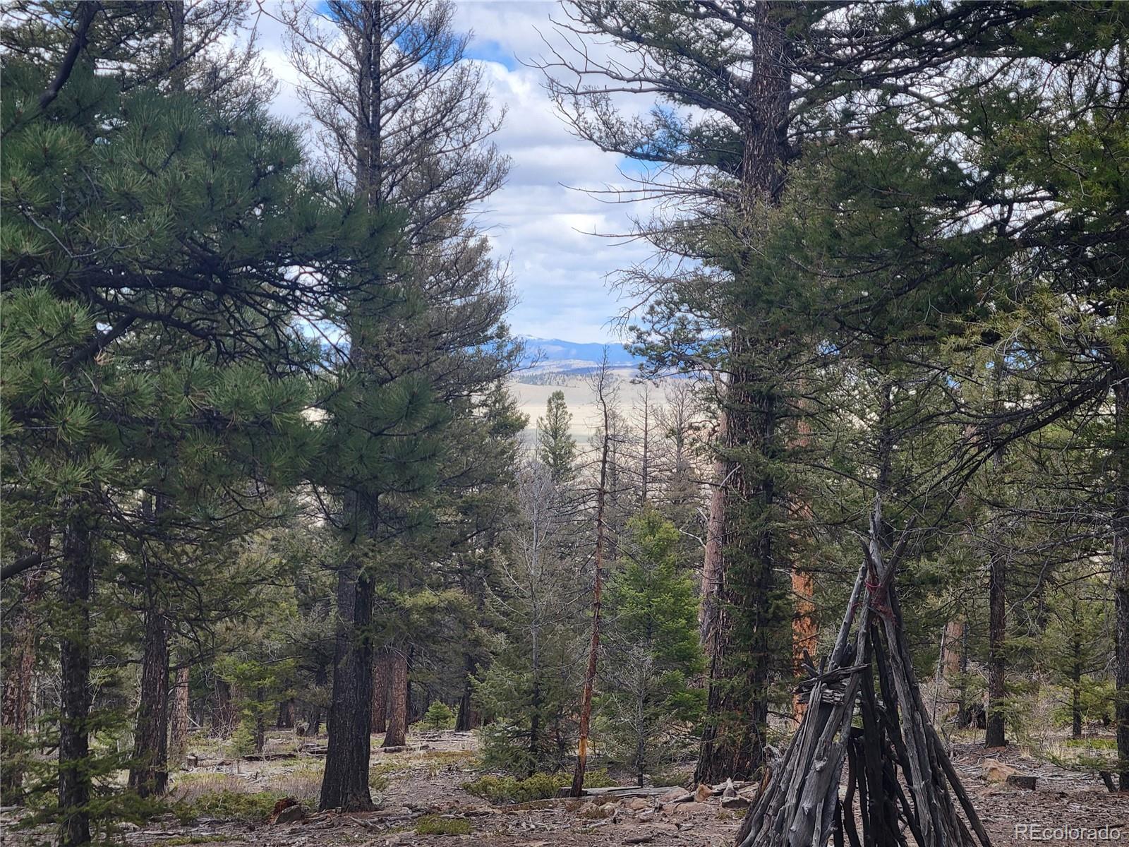 94 Pullman Loop Fairplay, CO 80440 - Photo 4 of 21