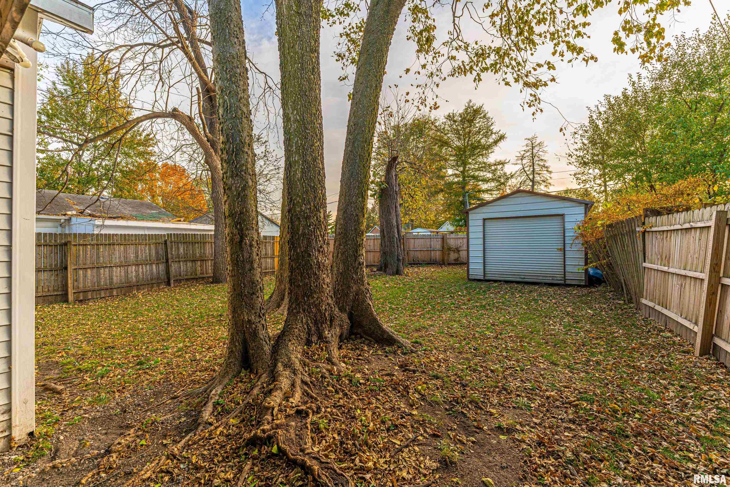 419 Decatur Street Lincoln, IL 62656 - Photo 5 of 13