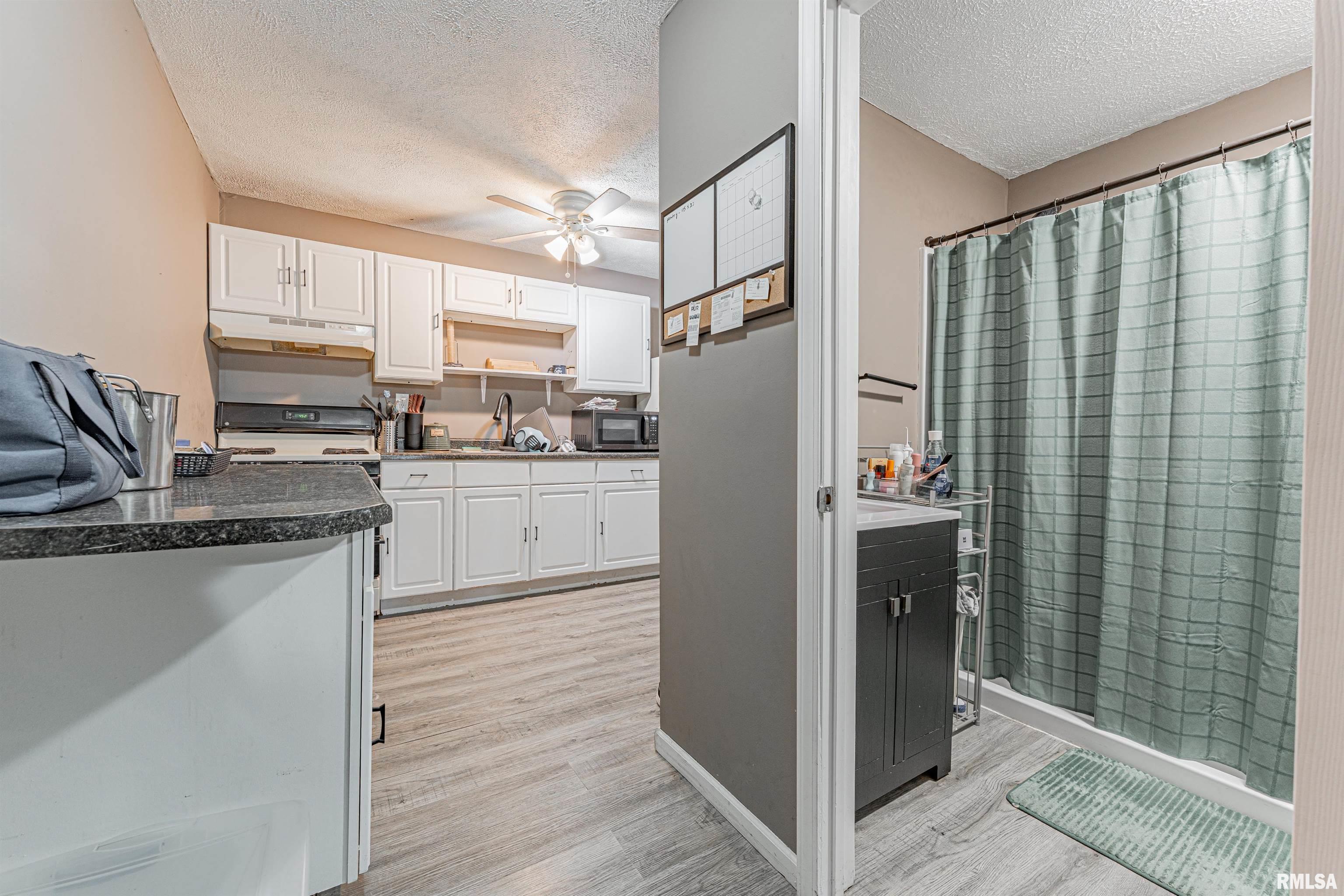 419 Decatur Street Lincoln, IL 62656 - Photo 8 of 13