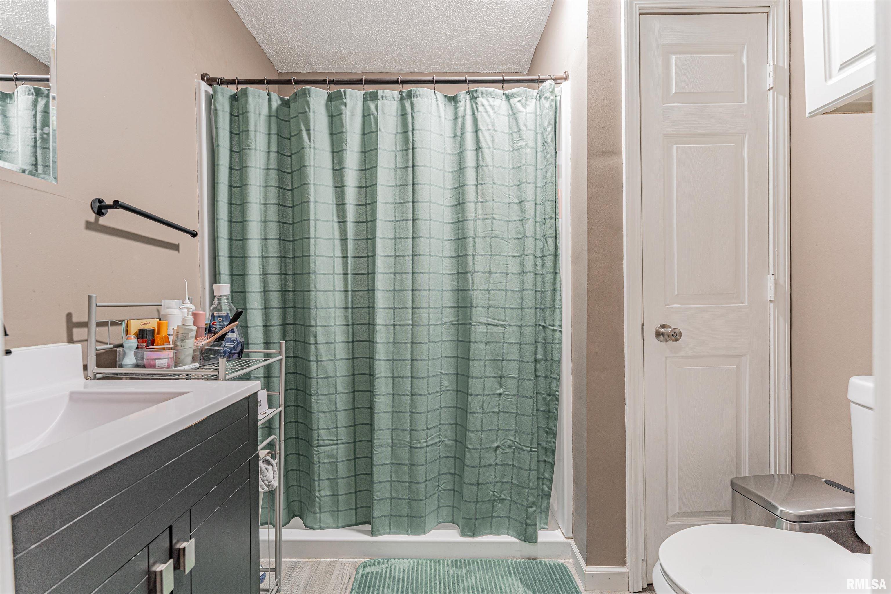 419 Decatur Street Lincoln, IL 62656 - Photo 9 of 13