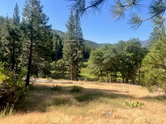 $42,000 | 1730 North Arm Road, Greenville, CA 95947
