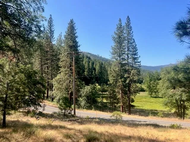 $42,000 | 1730 North Arm Road, Greenville, CA 95947