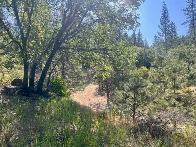 $42,000 | 1730 North Arm Road, Greenville, CA 95947