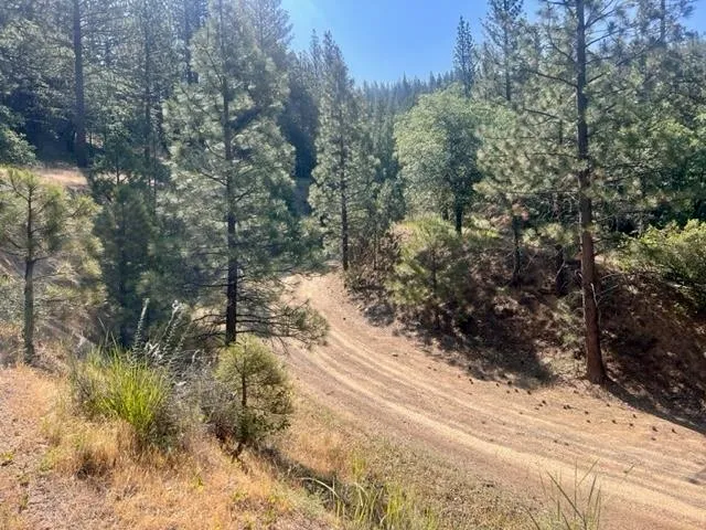 $42,000 | 1730 North Arm Road, Greenville, CA 95947