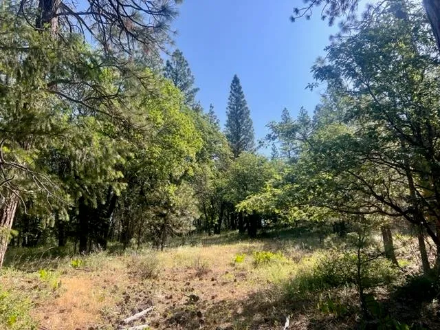 $42,000 | 1730 North Arm Road, Greenville, CA 95947