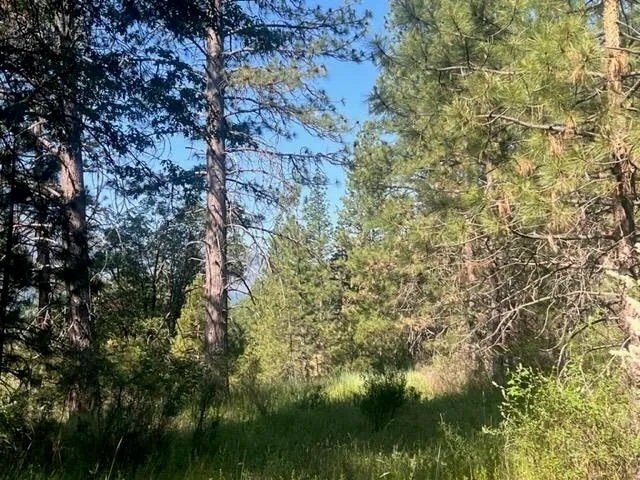 $42,000 | 1730 North Arm Road, Greenville, CA 95947