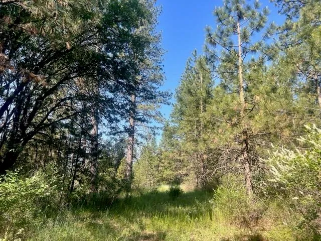 $42,000 | 1730 North Arm Road, Greenville, CA 95947