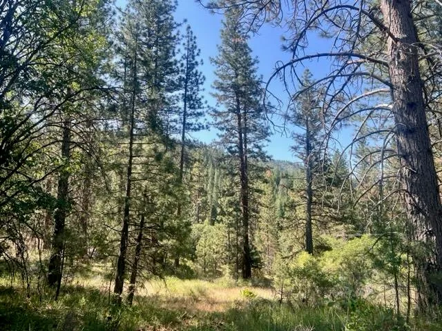 $42,000 | 1730 North Arm Road, Greenville, CA 95947