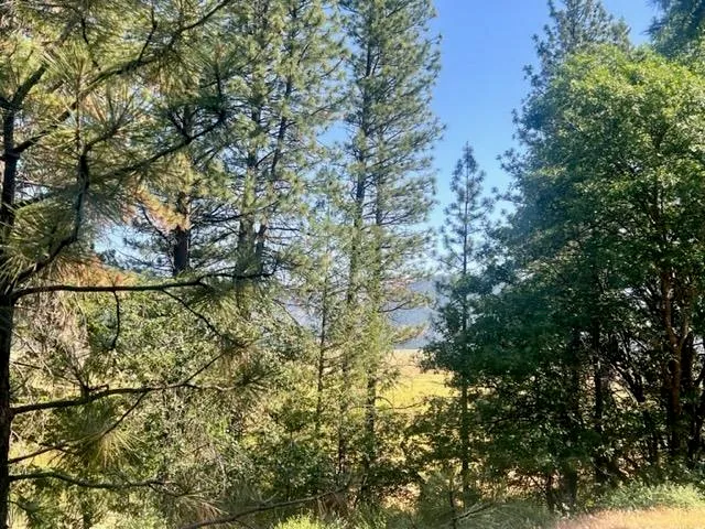 $42,000 | 1730 North Arm Road, Greenville, CA 95947