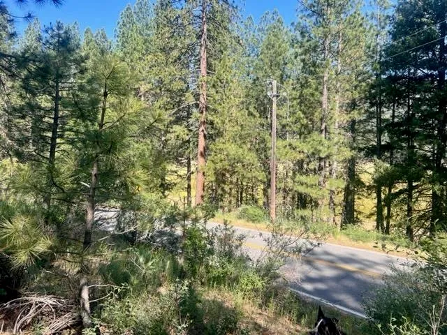 $42,000 | 1730 North Arm Road, Greenville, CA 95947