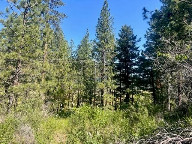 $42,000 | 1730 North Arm Road, Greenville, CA 95947