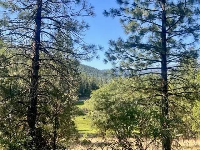 $42,000 | 1730 North Arm Road, Greenville, CA 95947