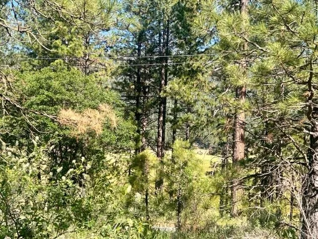 $42,000 | 1730 North Arm Road, Greenville, CA 95947