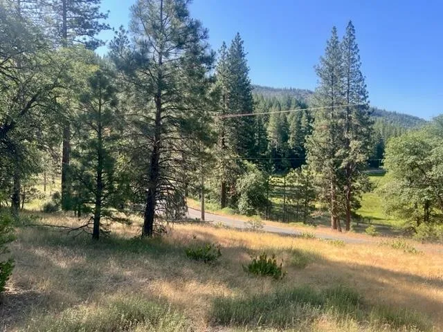 $42,000 | 1730 North Arm Road, Greenville, CA 95947