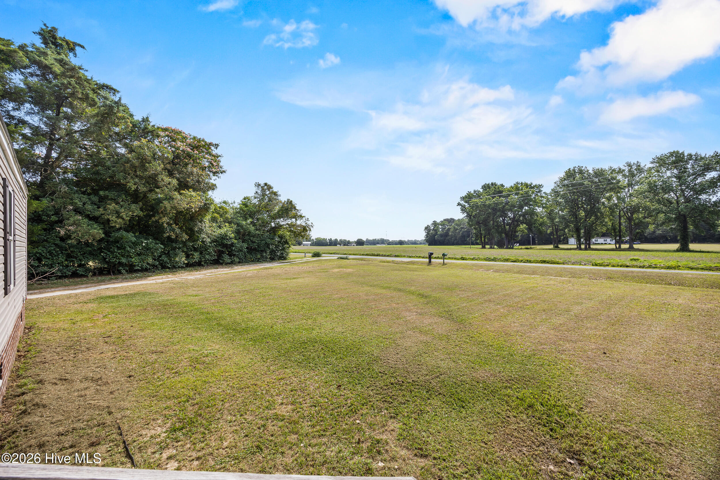 177 Turkey Branch Road Beulaville, NC 28518 - Photo 3 of 32