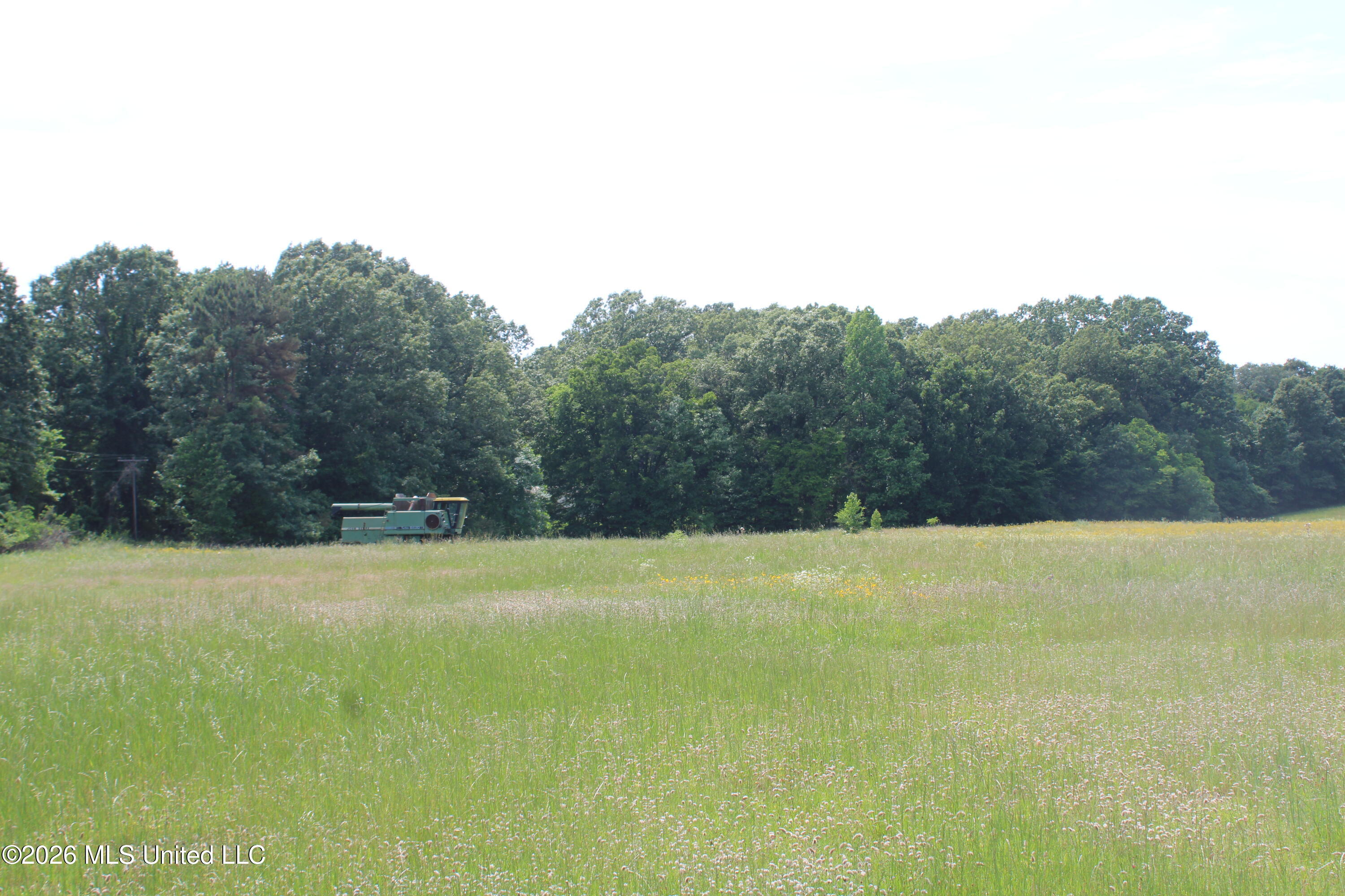100 Boswell Road Holly Springs, MS 38635 - Photo 11 of 17 IMG_7815