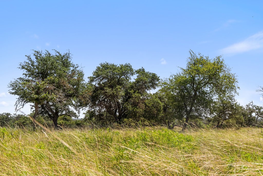 Tbd Reeh Road Fredericksburg, TX 78624 - Photo 33 of 37 A verdant expanse of land offers mature trees and open fields under a bright, clear sky.