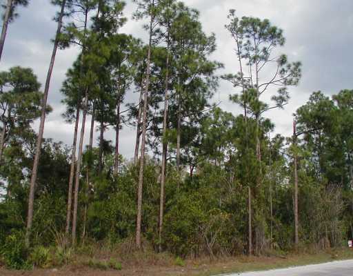 North 68th Street North Loxahatchee, FL 33470 - Photo 2 of 2 Additional Photo