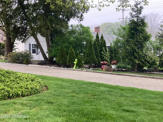a view of a yard with a tree