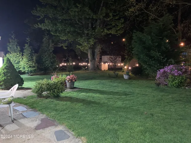 a view of a park with plants and trees