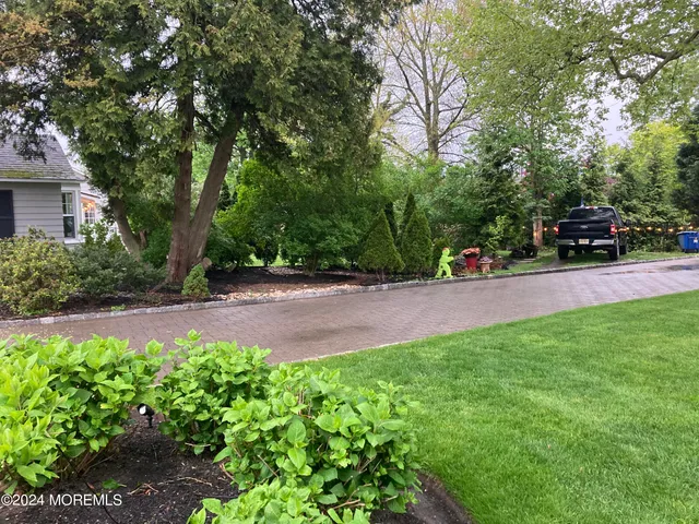 a view of green field with large trees