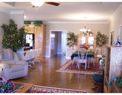 61376 Link Morse Road Amite, LA 70422 - Photo 3 of 12 Gallery Image 3