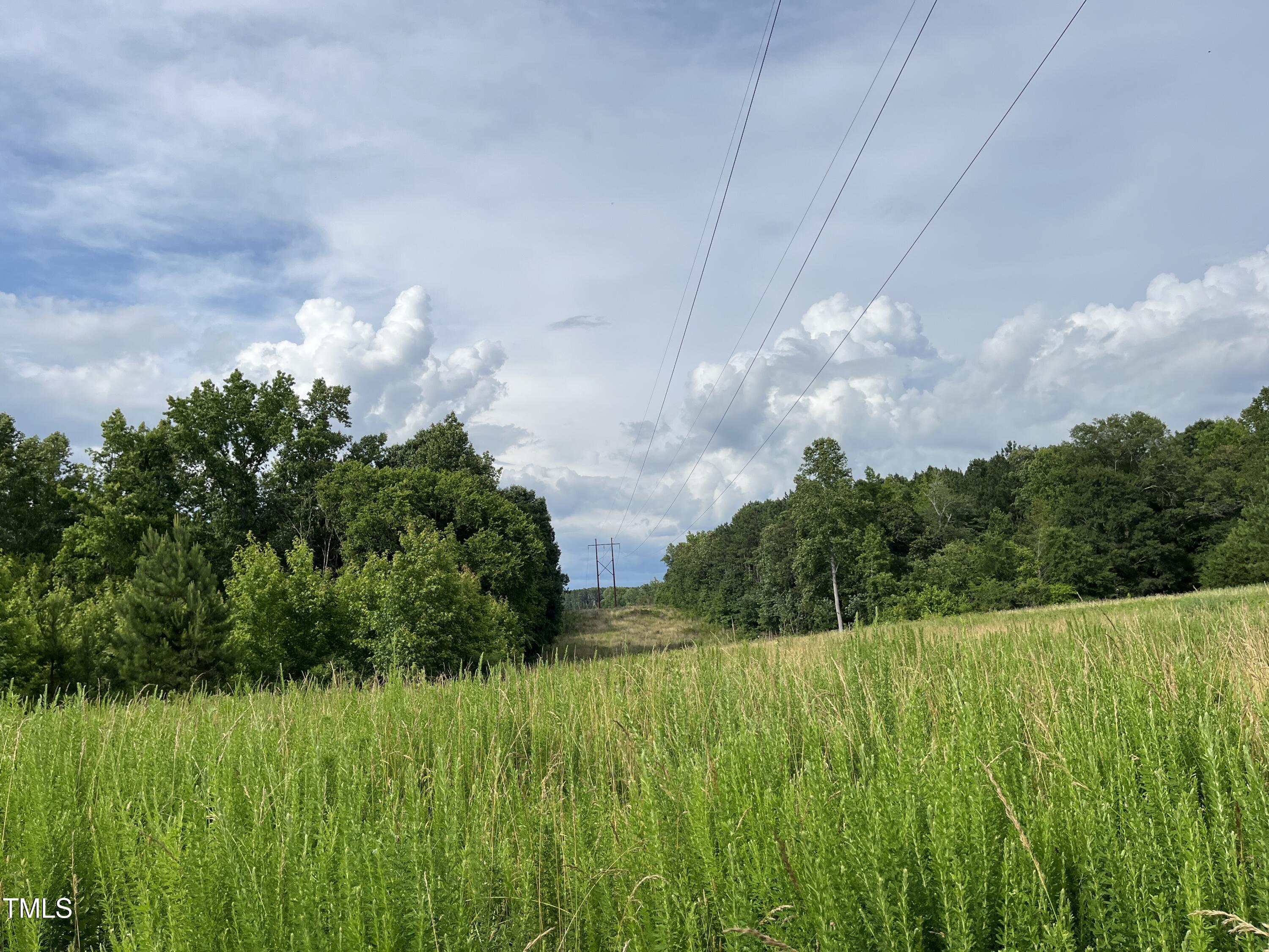0 Bullocksville Park Road Manson, NC 27553 - Photo 11 of 15 IMG_7567