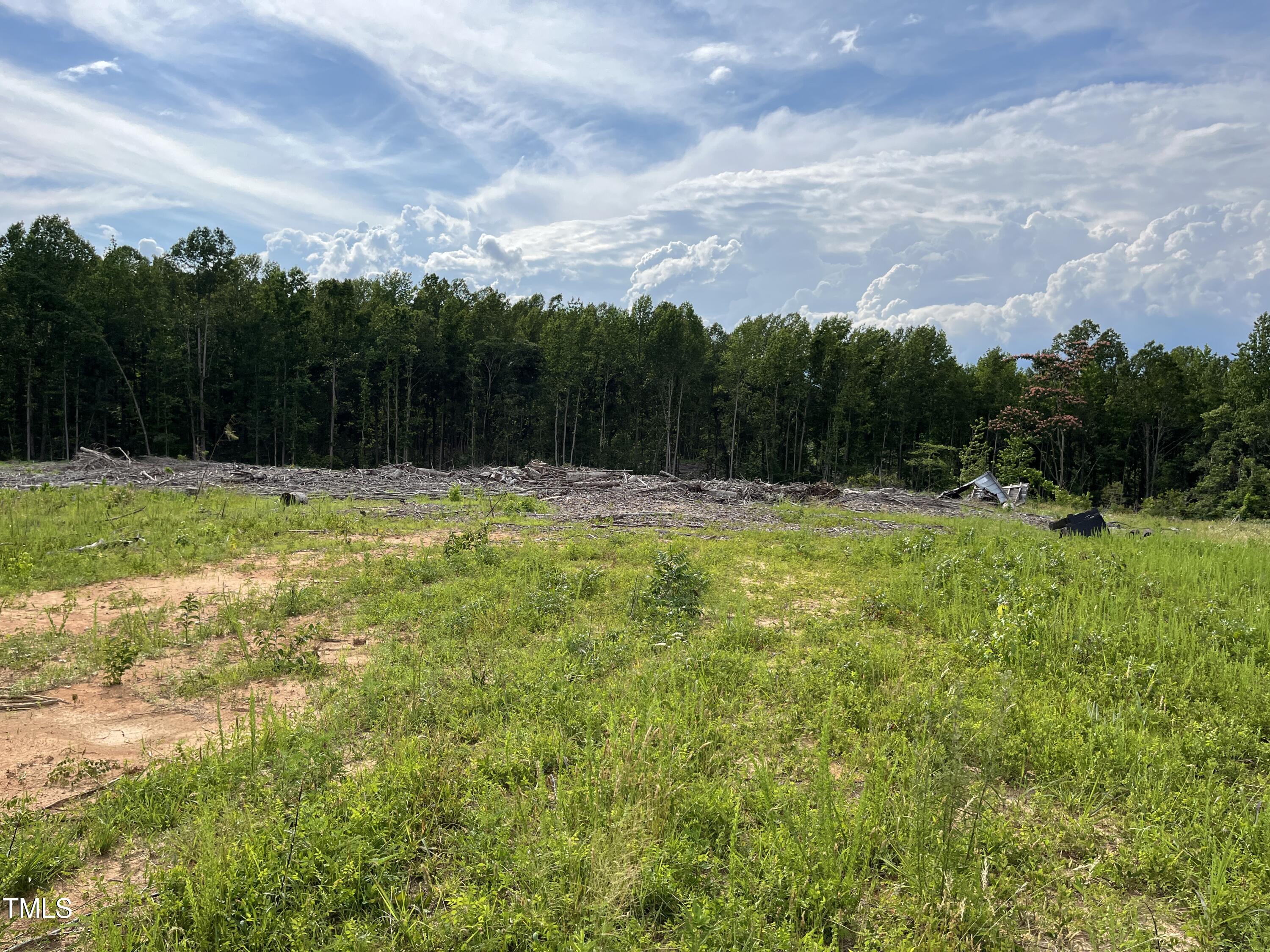 0 Bullocksville Park Road Manson, NC 27553 - Photo 13 of 15 IMG_7569