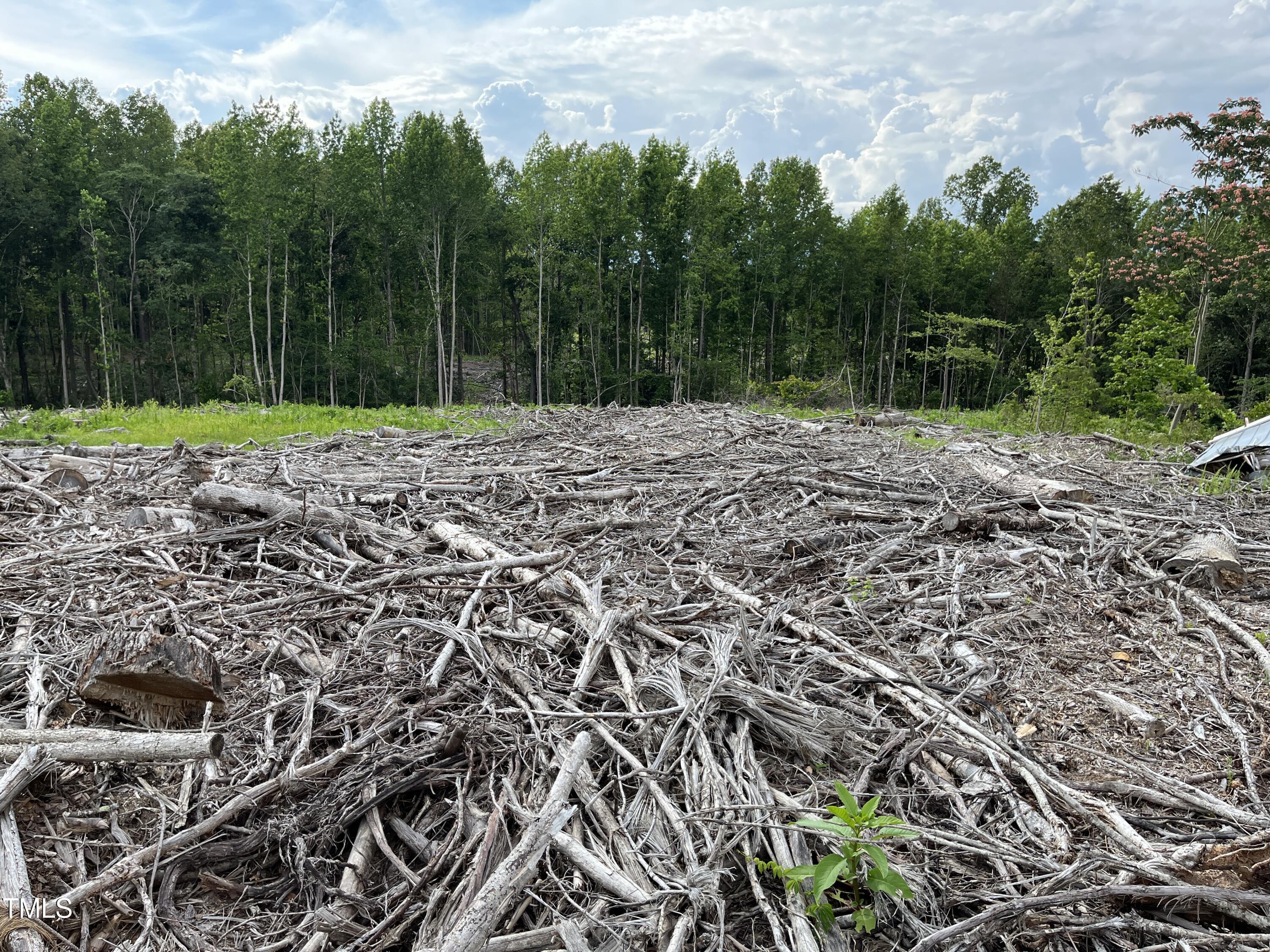 0 Bullocksville Park Road Manson, NC 27553 - Photo 14 of 15 IMG_7573