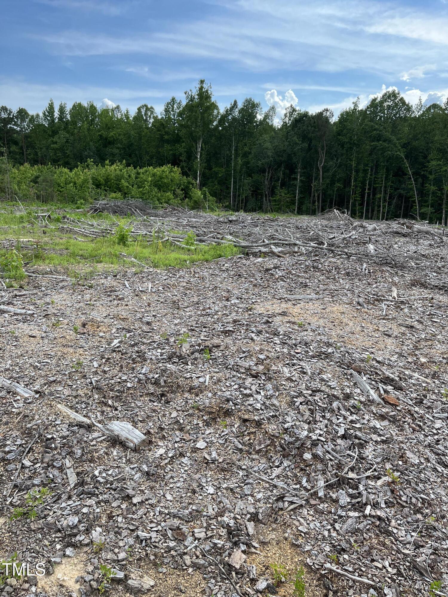 0 Bullocksville Park Road Manson, NC 27553 - Photo 15 of 15 IMG_7582