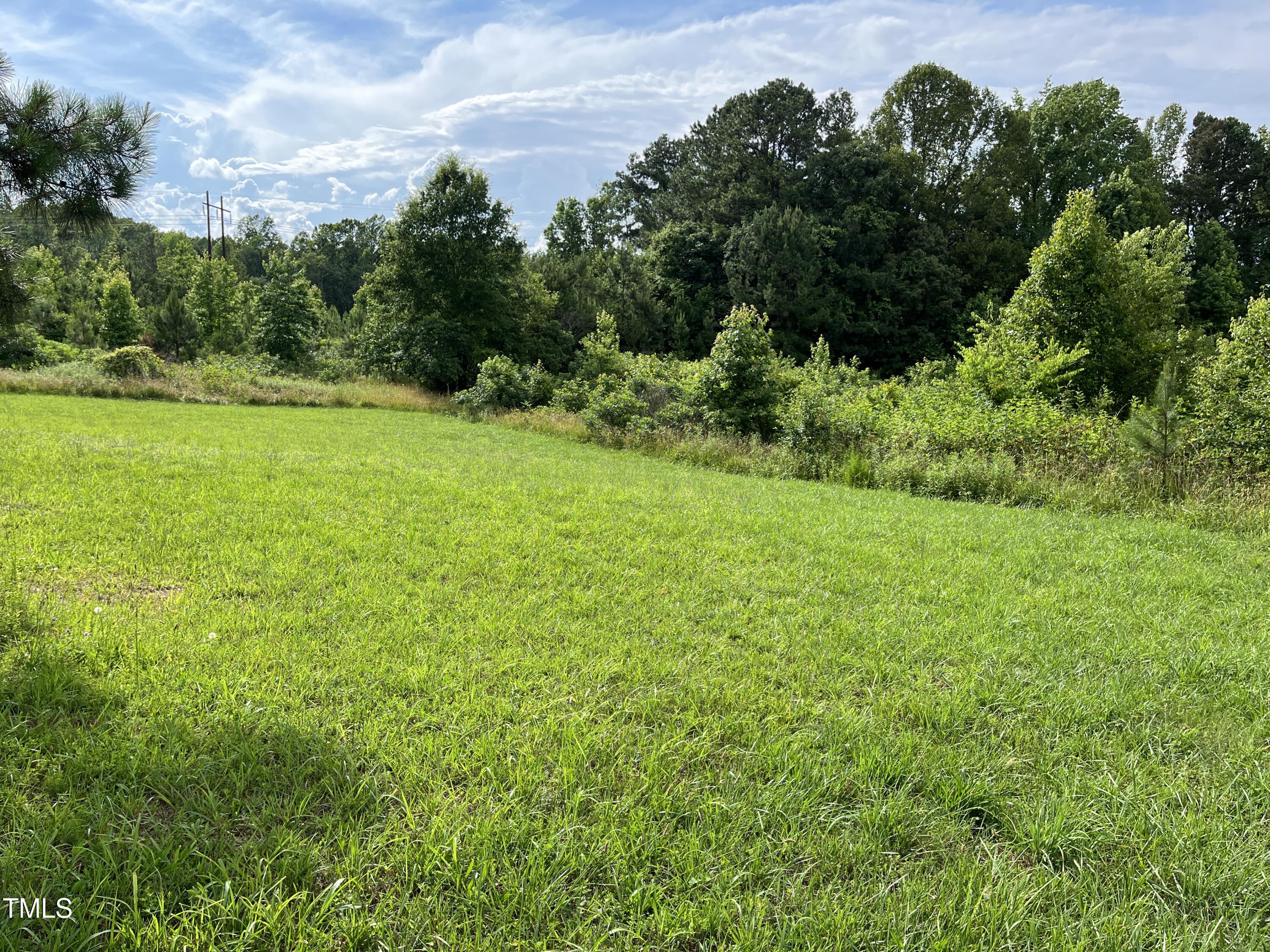 0 Bullocksville Park Road Manson, NC 27553 - Photo 3 of 15 IMG_7558