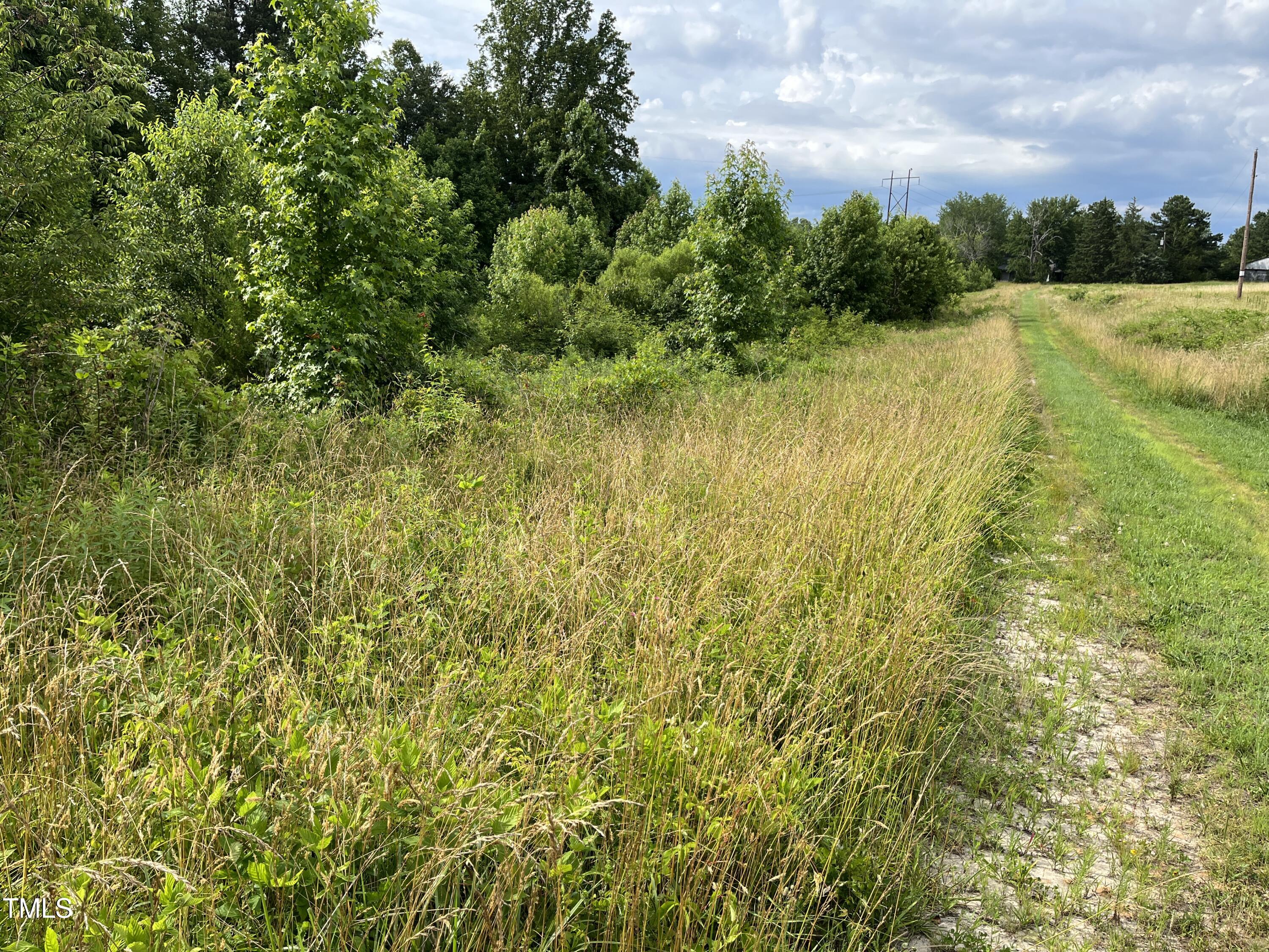 0 Bullocksville Park Road Manson, NC 27553 - Photo 4 of 15 IMG_7559