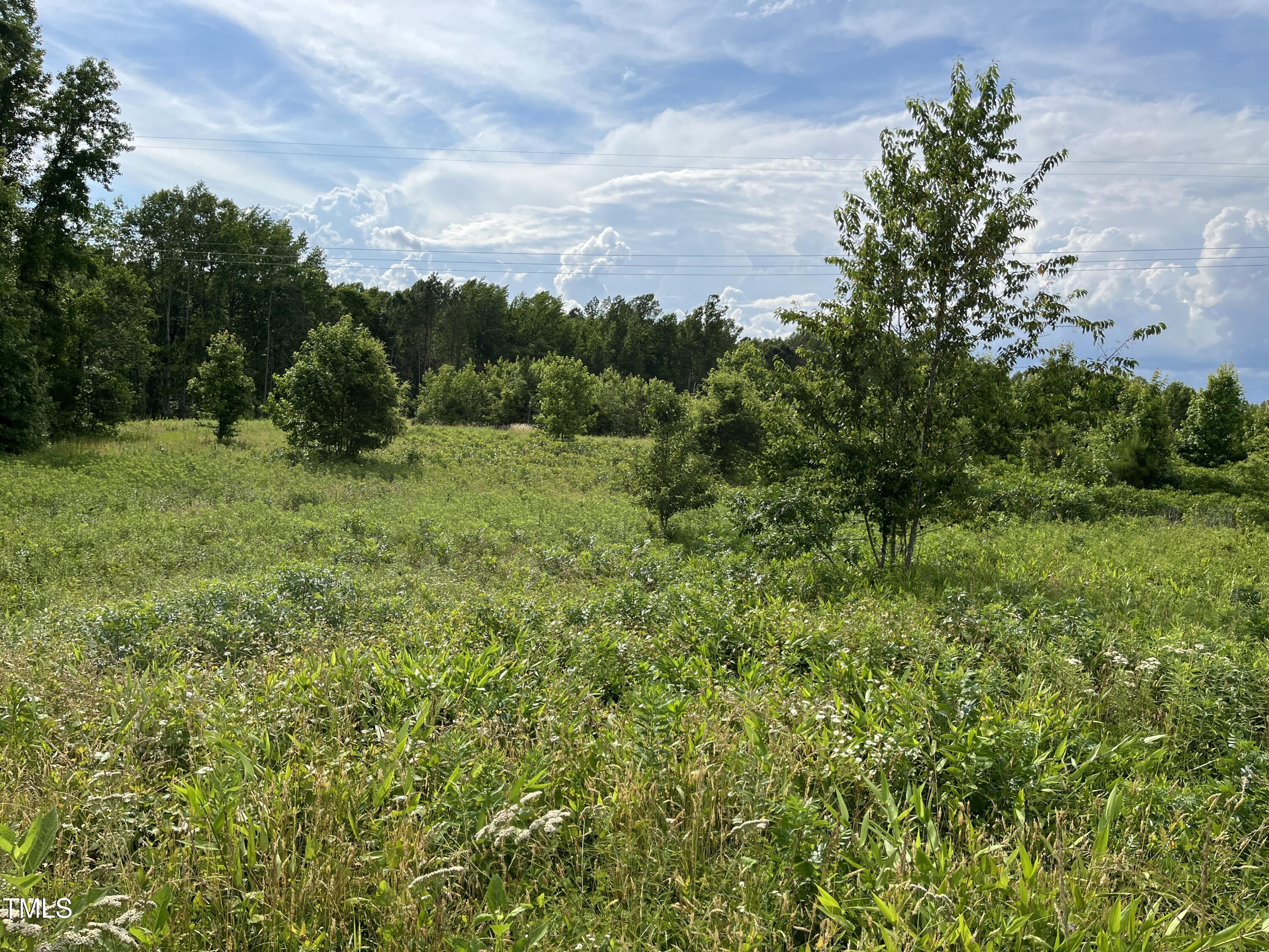 0 Bullocksville Park Road Manson, NC 27553 - Photo 7 of 15 IMG_7563