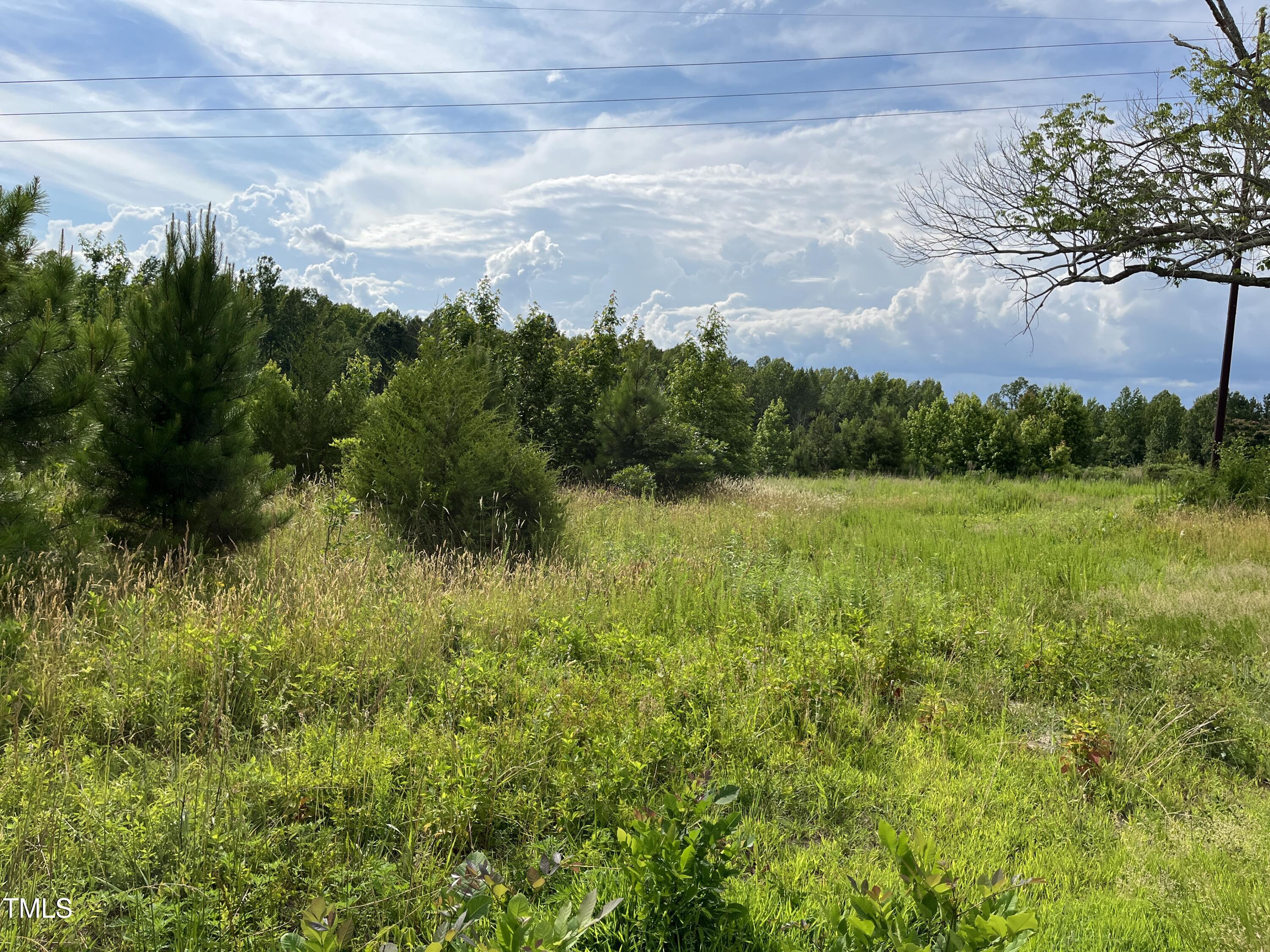 0 Bullocksville Park Road Manson, NC 27553 - Photo 8 of 15 IMG_7564