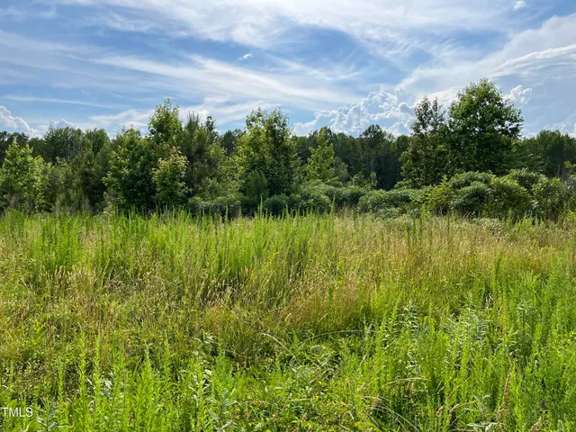 $507,500 | 0 Bullocksville Park Road, Manson, NC 27553