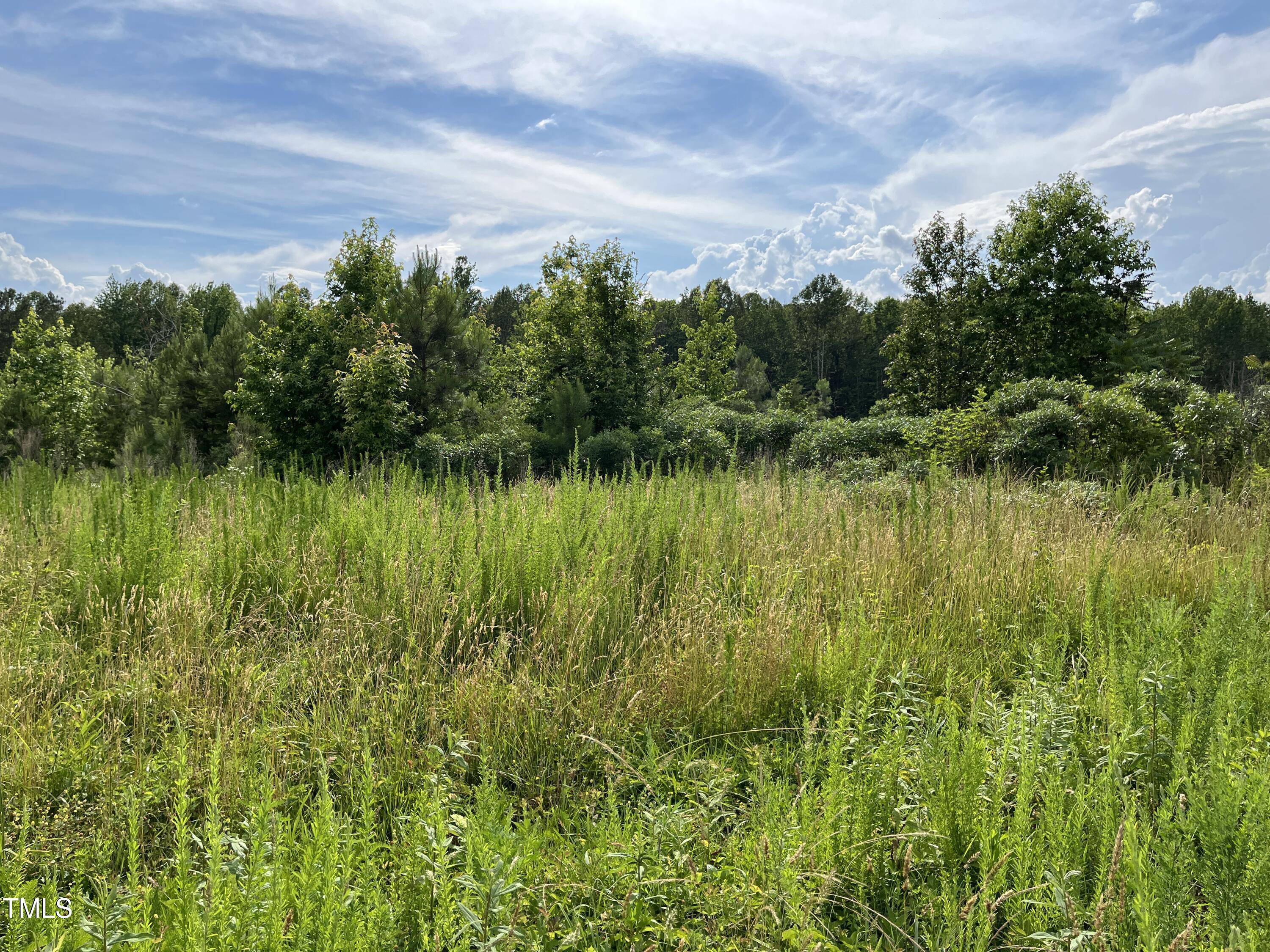 0 Bullocksville Park Road Manson, NC 27553 - Photo 9 of 15 IMG_7565