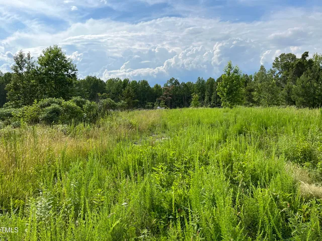 $507,500 | 0 Bullocksville Park Road, Manson, NC 27553