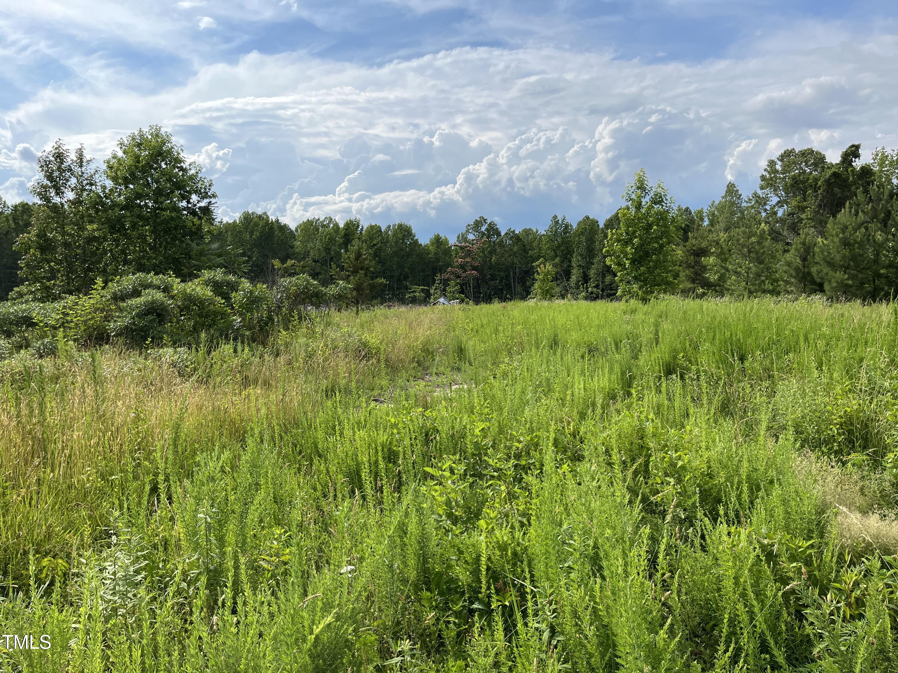 0 Bullocksville Park Road Manson, NC 27553 - Photo 10 of 15 IMG_7566