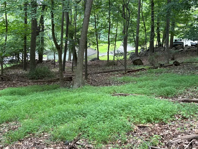 a view of backyard with green space