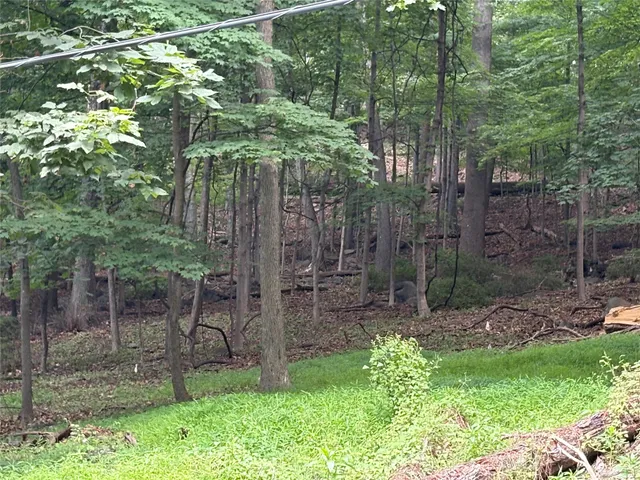 a backyard of a house with lots of green space and trees