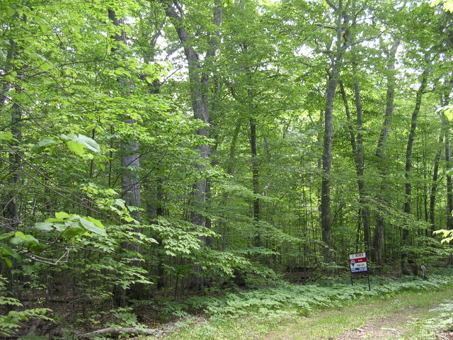 1330 Sunrise Road Washington Island, WI 54246 - Photo 1 of 1 Main View