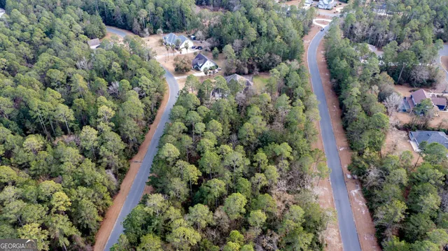 a view of a garden with plants